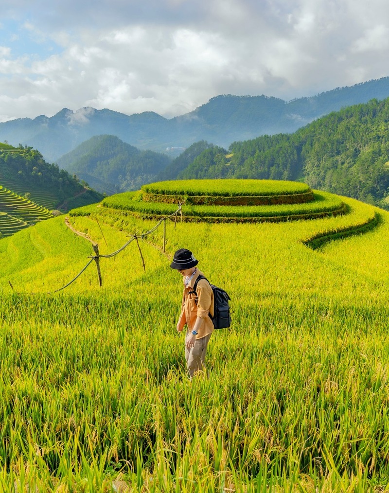 Film photography art